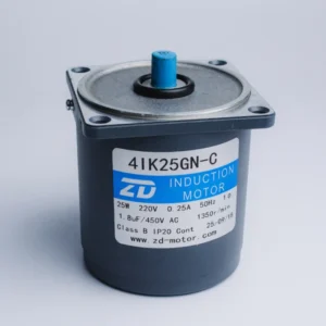 Motor ZD